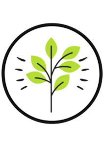Productes alimentaris Vegetarians
